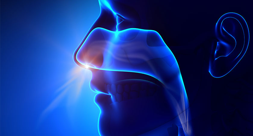 Intranasal DrugDelivery’s Second Act: Strategic Considerations for Developers in 2026 and Beyond